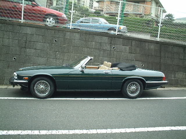 �W���K�[�������R���o�[�`�u���@�J�u���I��